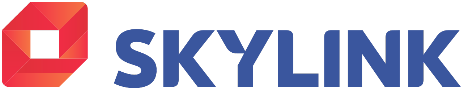 Logo skylink